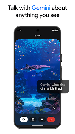 Google Géminis Google Géminis